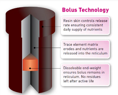 Alltrace Hi-Iodine - Single Bolus - Image 3