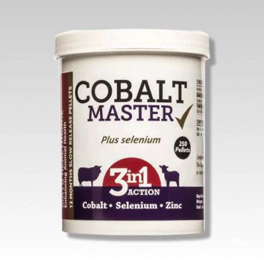 Cobalt Master 100 Bolus