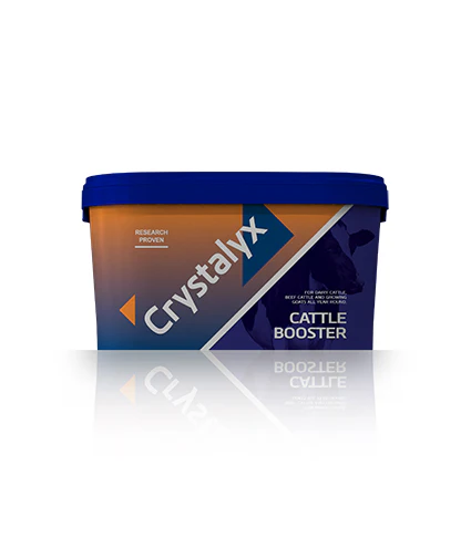 Crystalyx Cattle Booster 22.5kg