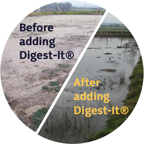 Digest-It 20L - Image 2