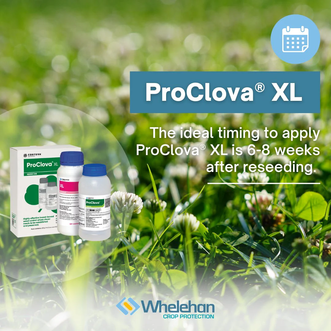 Proclova XL Pack - Image 2