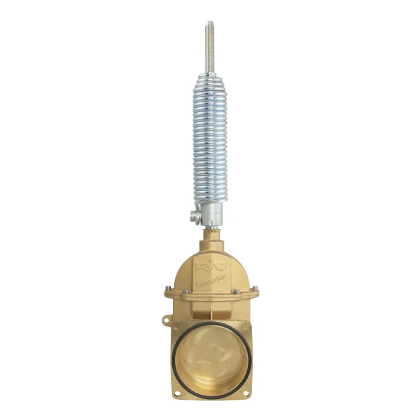 Coupling Bell Valve With Spring Ram - Image 2