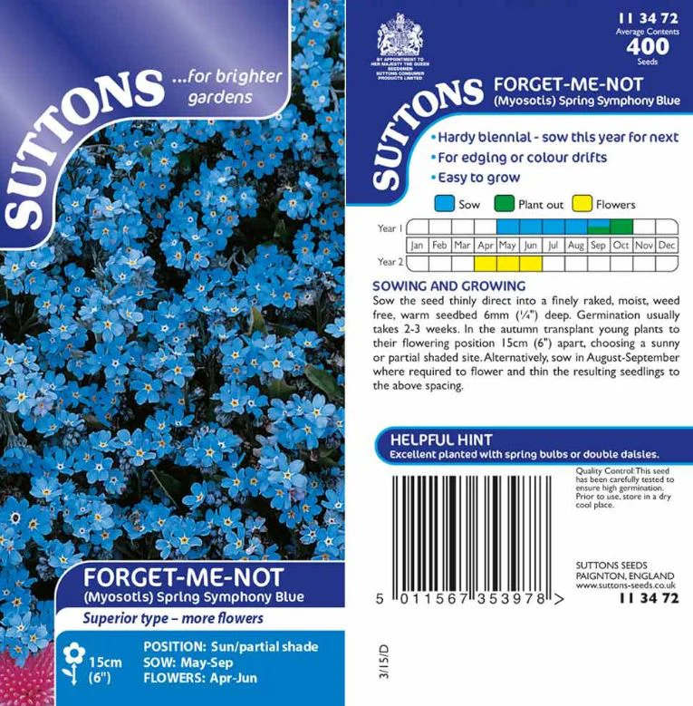Forget-Me-Not 'Spring Symphony Blue' - Seeds - Image 3
