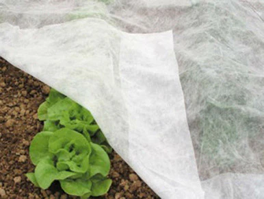 Plant Protection Fleece 10x1.6m - Image 2