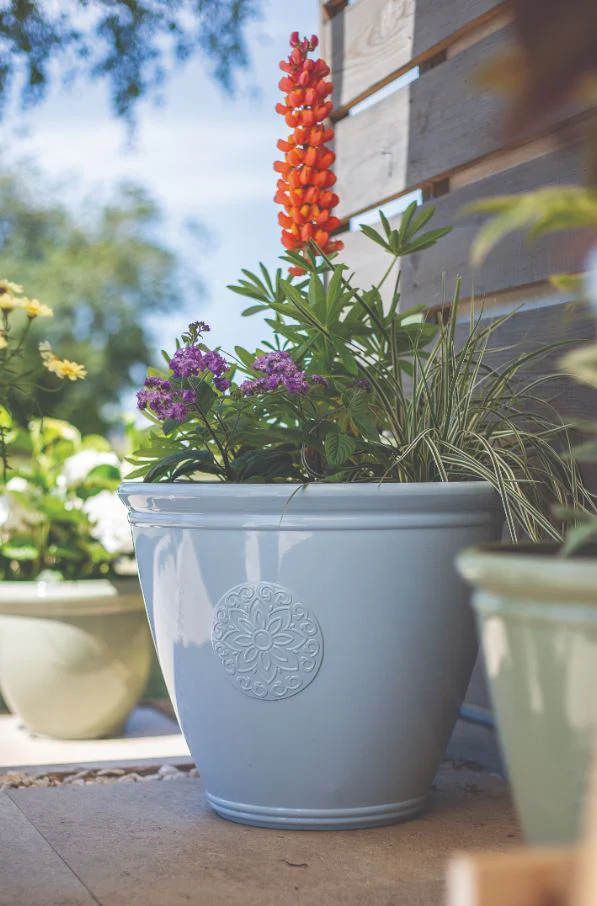 Eden Emblem Planter Blue - Image 3