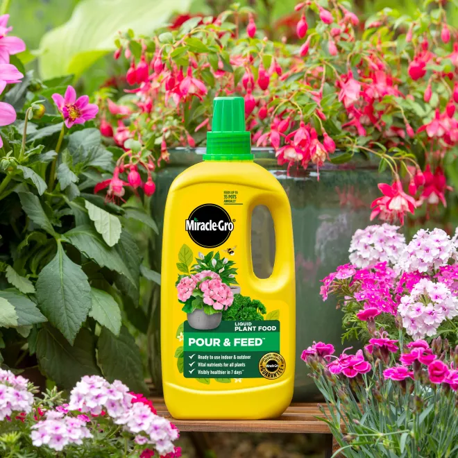 Miracle-Gro Pour & Feed RTU Plant Food 1L