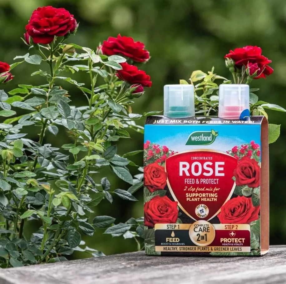 Westland 2 In 1 Feed & Protect Rose 2 X 500ml - Image 2