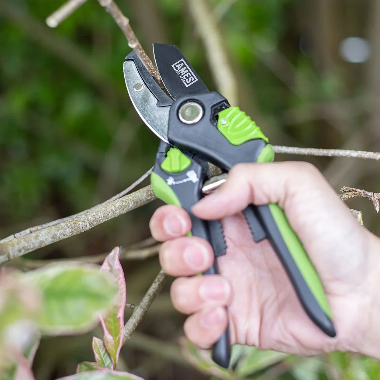 Ames Multi-Function Anvil Pruner - Image 2