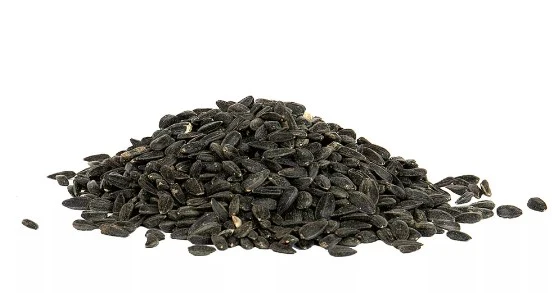 Gardman Sunflower Seeds 2.8kg - Image 2