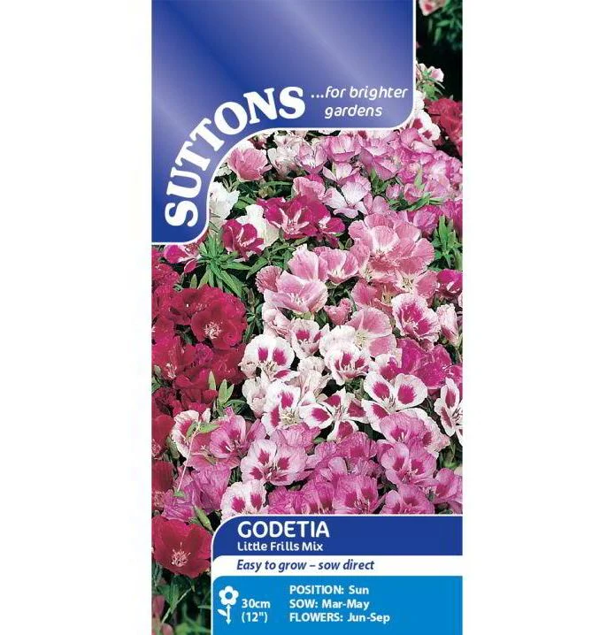 Godetia 'Little Frills Mix' - Seeds - Image 2