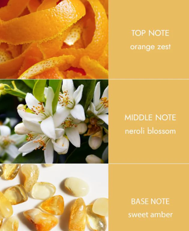 Reed Diffusers - Amber Sunset - Image 3