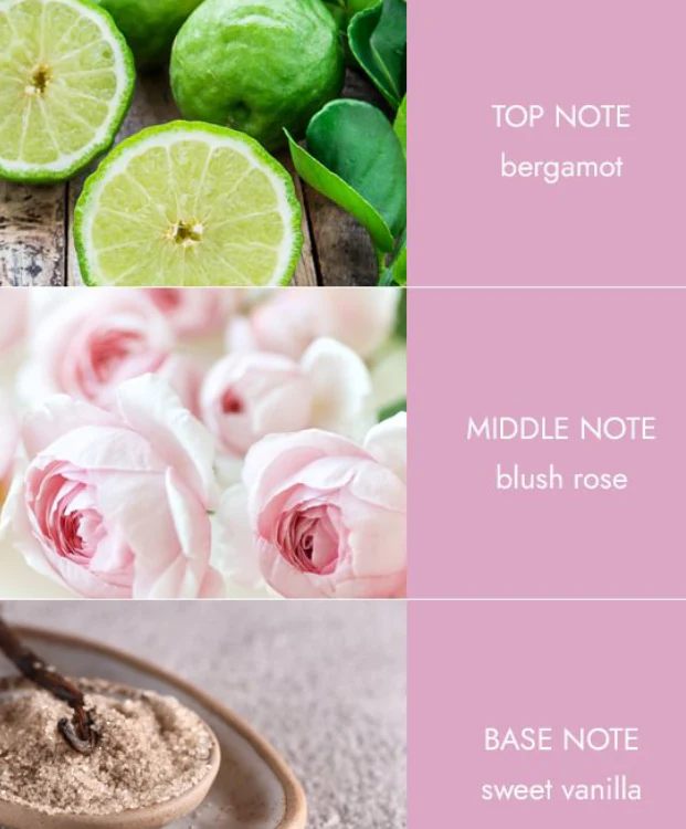Reed Diffusers - Loving Blooms - Image 3