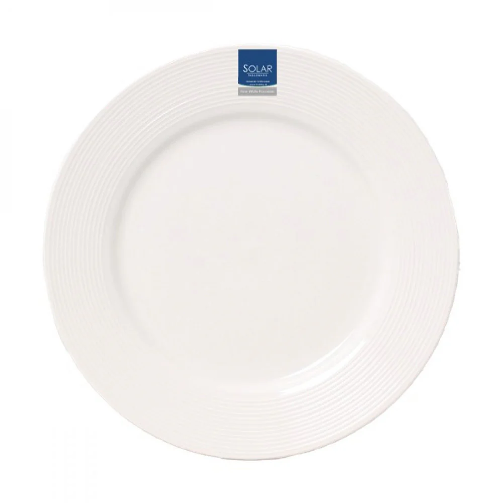 Solar White 10.5" Dinner Plate