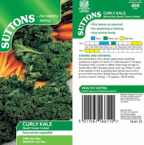 Kale 'Dwarf Green Curled' - Seeds - Image 2