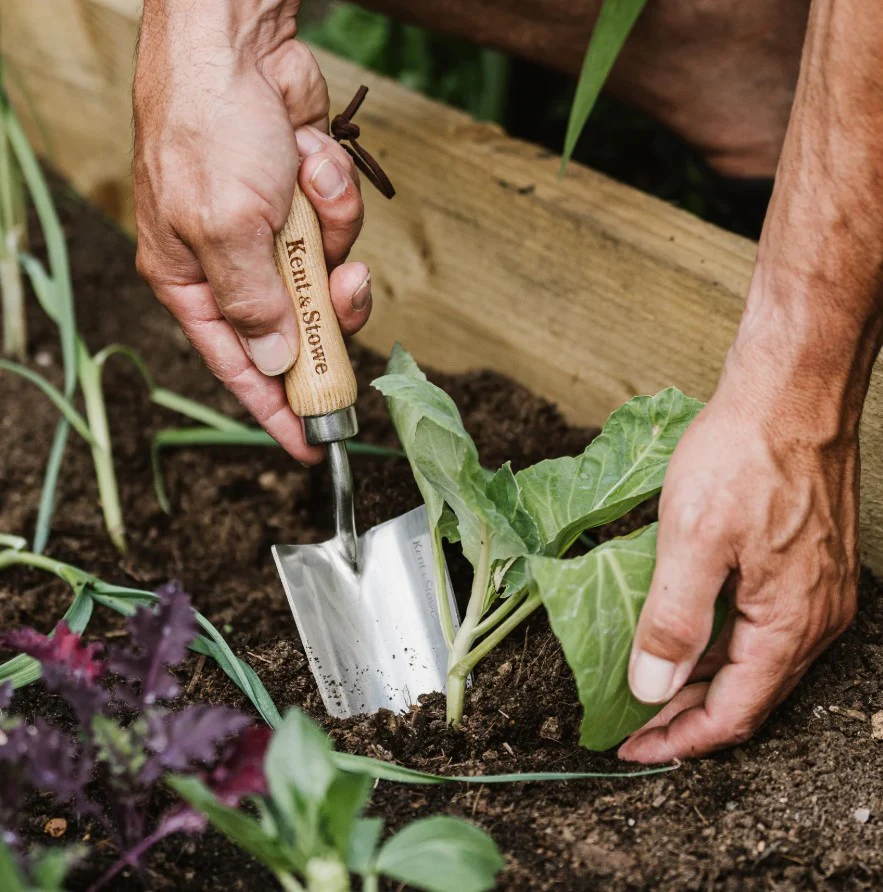 Kent & Stowe Garden Life Stainless Steel Hand Trowel - Image 2
