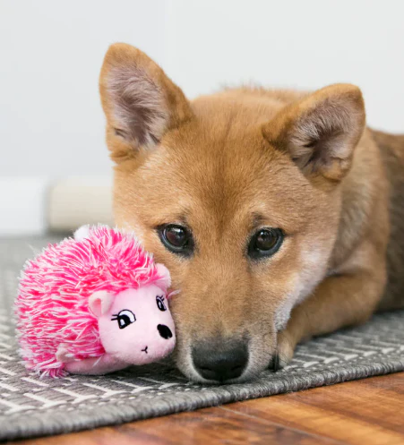 Kong Comfort Hedgehug Puppy X-Small - Image 2