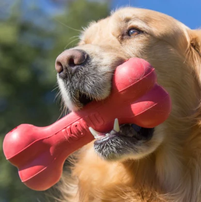KONG Goodie Bone Classic - Image 2