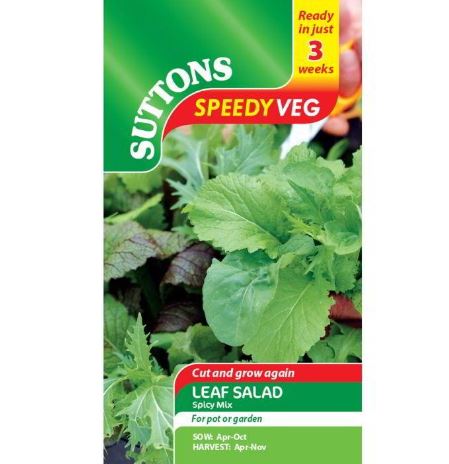 Leaf Salad 'Spicy Mix' - Speedy Veg Seeds - Image 2