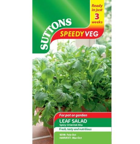 Leaf Salad 'Spicy Oriental Mix' - Speedy Veg Seeds - Image 2