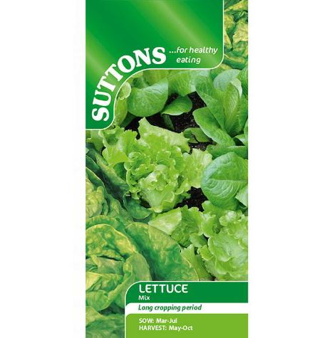 Lettuce 'Mix' - Seeds - Image 2