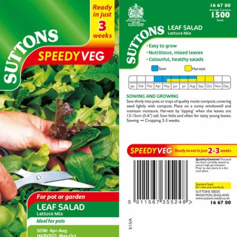Lettuce 'Mixed Varieties' - Seeds - Image 2