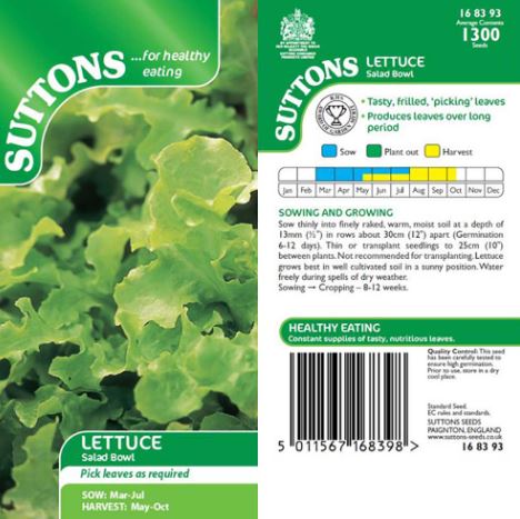 Lettuce 'Salad Bowl' - Seeds - Image 2
