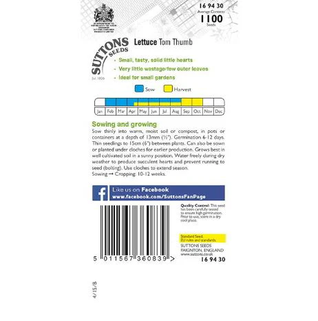 Lettuce 'Tom Thumb' - Seeds - Image 3