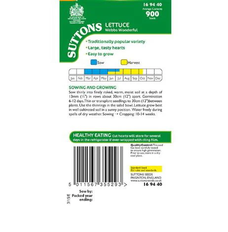 Lettuce 'Webbs Wonderful' - Seeds - Image 3