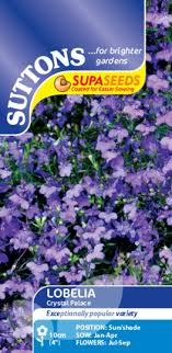Lobelia Supacoat Crystal Palace Flower Seeds - Image 2