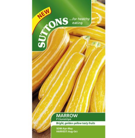 Marrow F1 'Sunstripe' - Seeds - Image 2