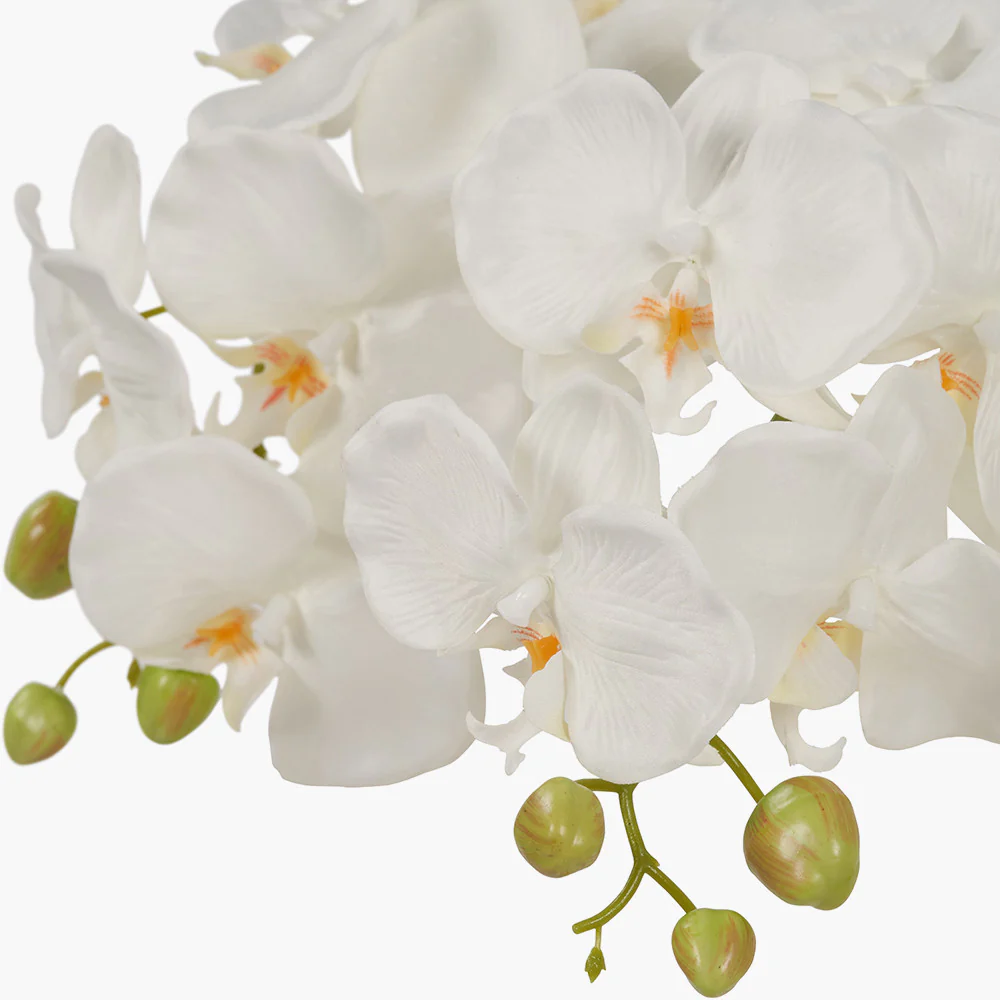 Medium White Orchid in Moss Pot - Image 4