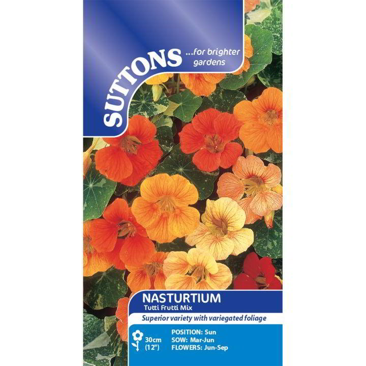 Nasturtium Tutti Frutti Mix Flower Seeds - Image 2