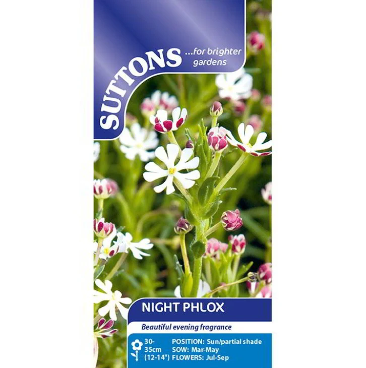 Night Flowering Phlox Flower Seeds - Image 2