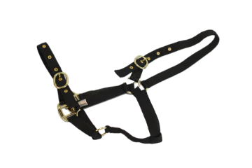NYLON HEADCOLLAR FOAL BLACK
