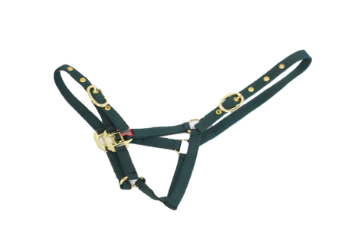 NYLON HEADCOLLAR FOAL GREEN