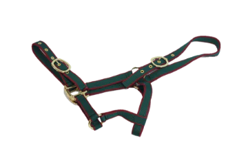 NYLON HEADCOLLAR FOAL GREEN/BURGUNDY
