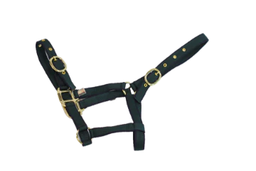 NYLON HEADCOLLAR FULL NAVY/GREEN
