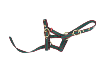 NYLON HEADCOLLAR SUCKLING GREEN/BURGUNDY