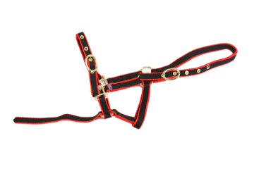 NYLON HEADCOLLAR SUCKLING RED/BLACK