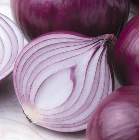 Onion F1 'Kamal' - Seeds