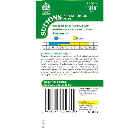 Onion (Salad) 'Apache' - Seeds - Image 3