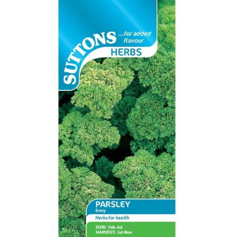 Parsley 'Envy' - Herb Seeds