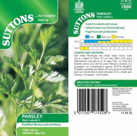 Parsley 'Plain Leaved 2' - Seeds - Image 2