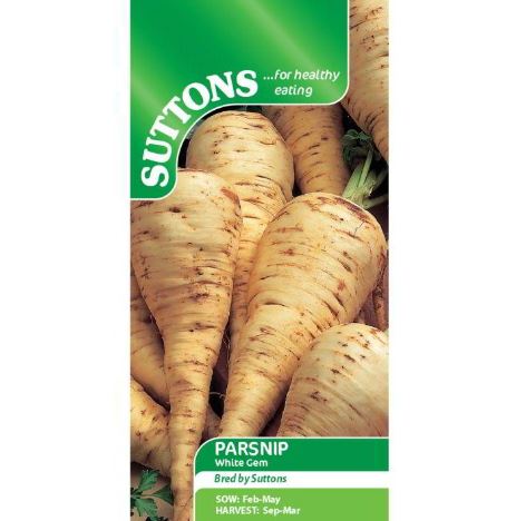 Parsnip 'White Gem' - Seeds