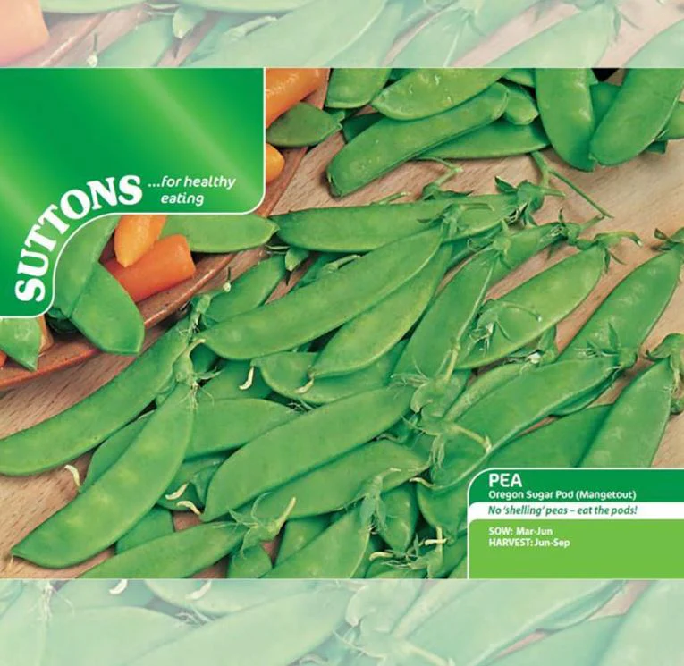 Pea 'Oregon Sugar Pod' - Seeds - Image 4