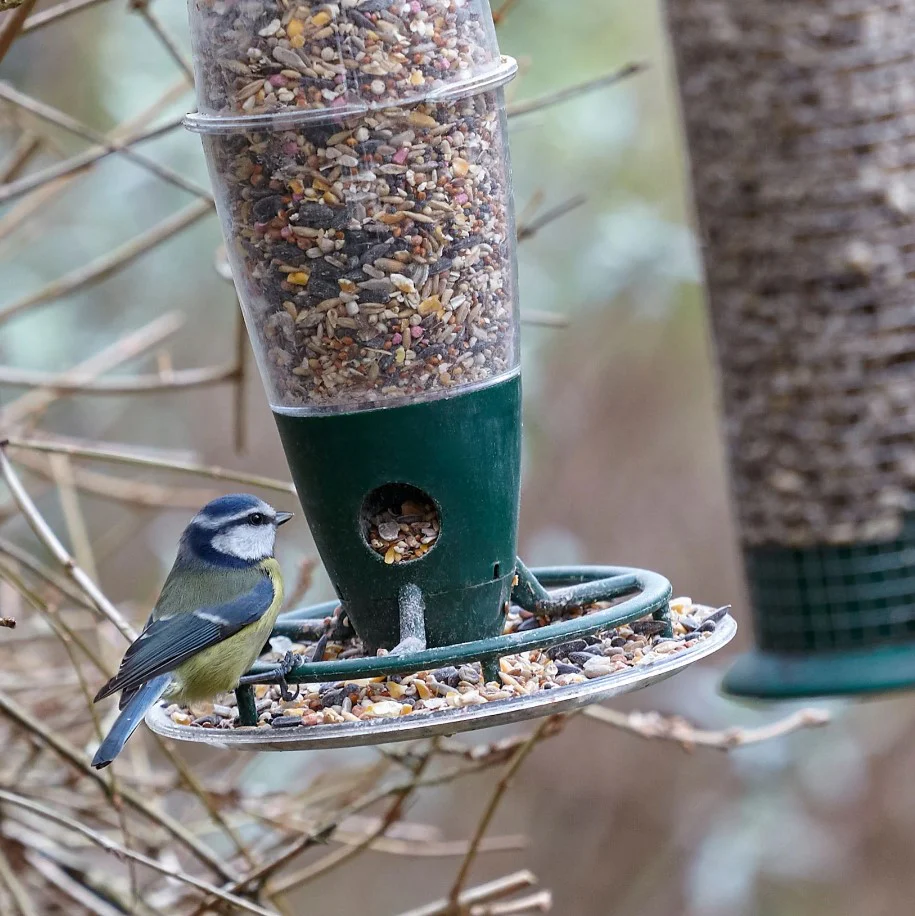 Peckish 3 Port Multi Seed Bird Feeder - Wide Base - Image 3