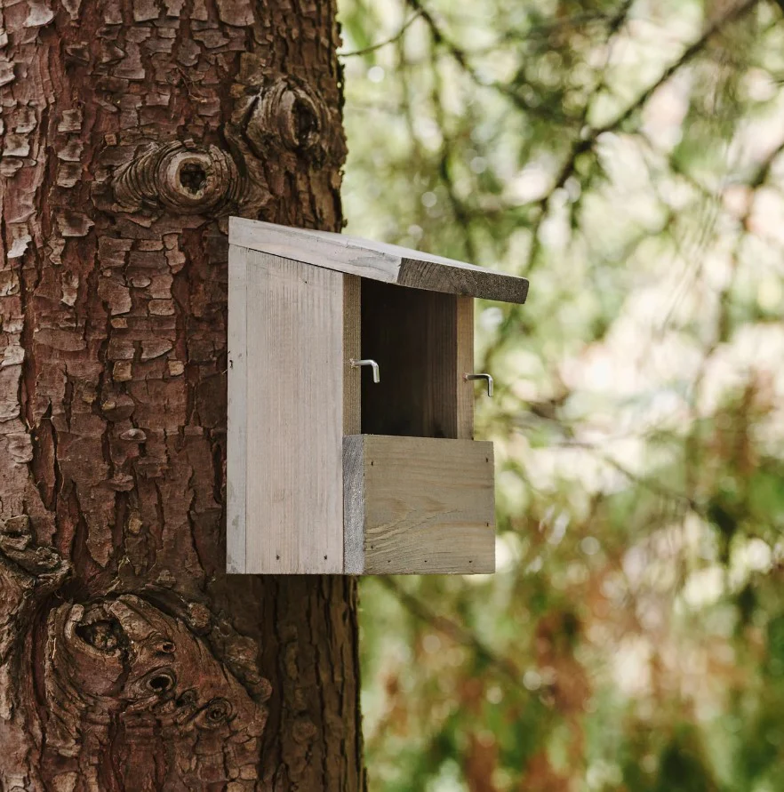 Peckish Everyday Nest Box - Image 2