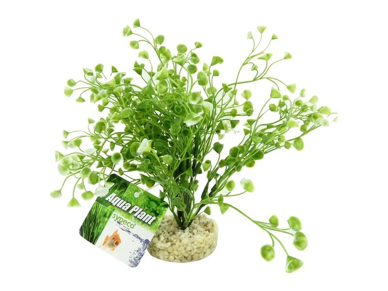 Aquarium Water Wild Grass - Image 3