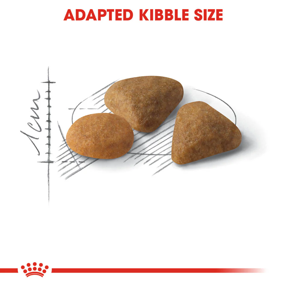 Royal Canin Savour Exigent Cat - Image 2