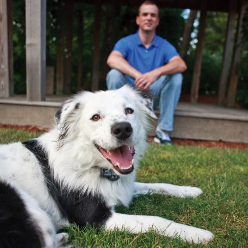 Petsafe Instant Fence - Image 4